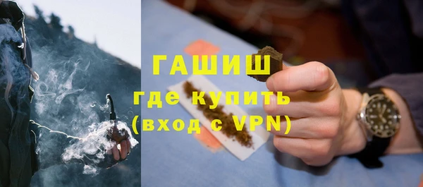 ГАЛЛЮЦИНОГЕННЫЕ ГРИБЫ Козловка