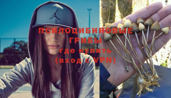 прущая мука Корсаков