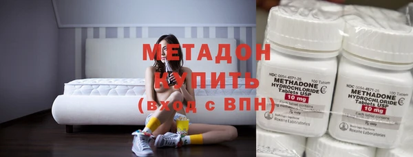 ГАЛЛЮЦИНОГЕННЫЕ ГРИБЫ Козловка