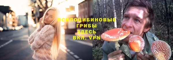 спиды Козельск