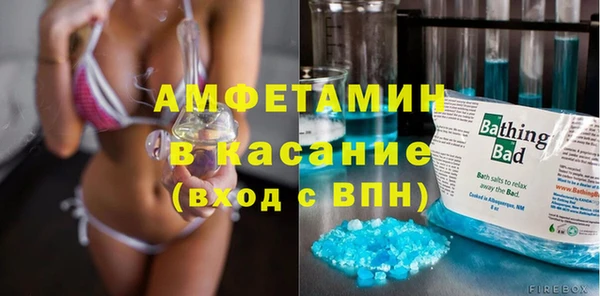 ГАЛЛЮЦИНОГЕННЫЕ ГРИБЫ Козловка