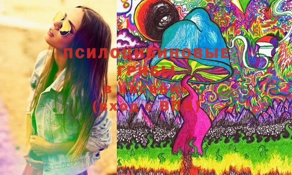 прущая мука Корсаков