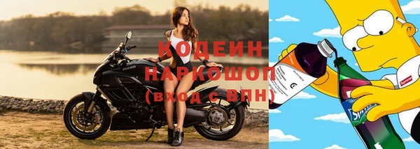 ГАЛЛЮЦИНОГЕННЫЕ ГРИБЫ Козловка