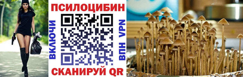Купить Глазов Псилоцибиновые грибы мухоморы